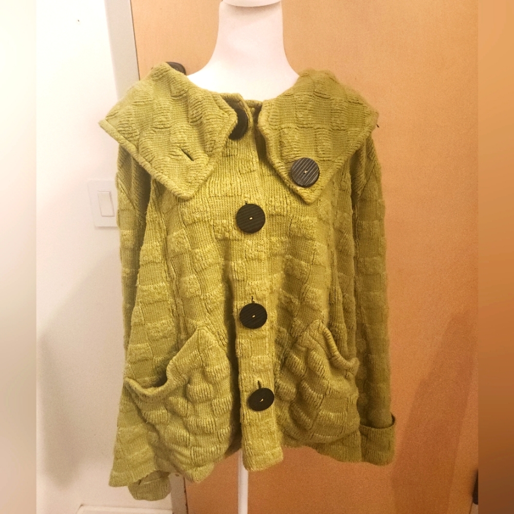 Willow Oversized Sweater Retro Vibes L-XL Pit To Pit 29" Length 25"💚🐢💚